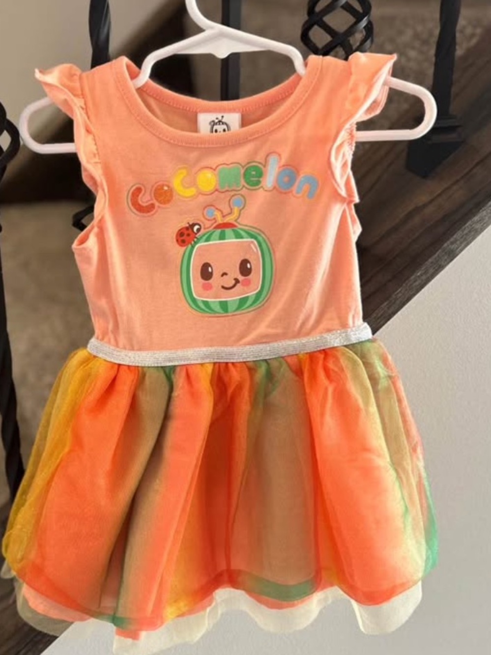 CoComelon Peach Orange Tulle Dress